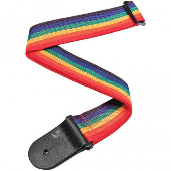 Planet Waves PWS111