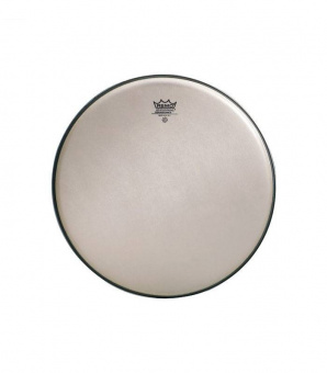 Remo RA-0010-SS  10