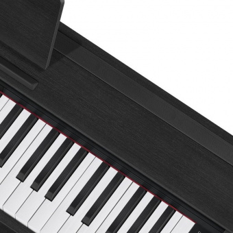 CASIO Privia PX-870BK, цифровое фортепиано (2)