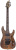 SCHECTER OMEN ELITE-6 FR CHAR