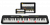 CASIO LK-S250 (1)
