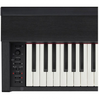 CASIO Privia PX-870BK, цифровое фортепиано (1)
