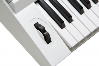 Kurzweil KP110 WH (5)