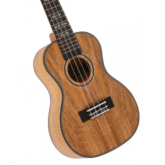 duc 450 (1)